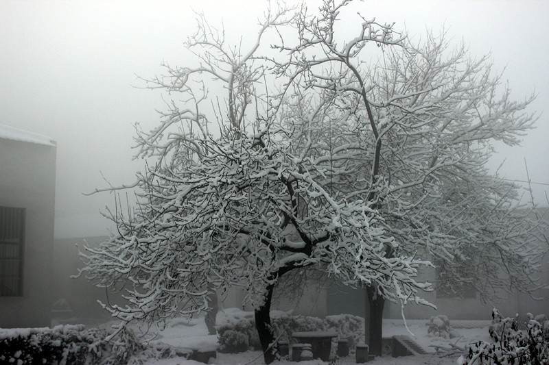 德科廠區雪景 德科廠區雪景